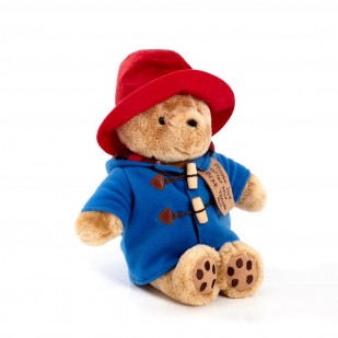 Soft cuddly Paddington Bear wearing his winter scarf